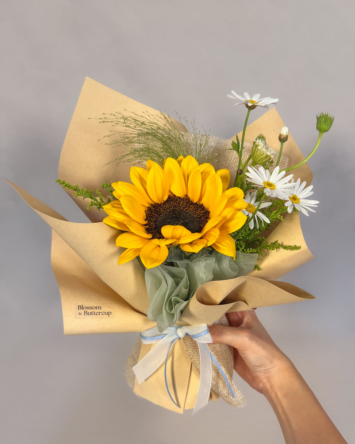 Little Sunshine