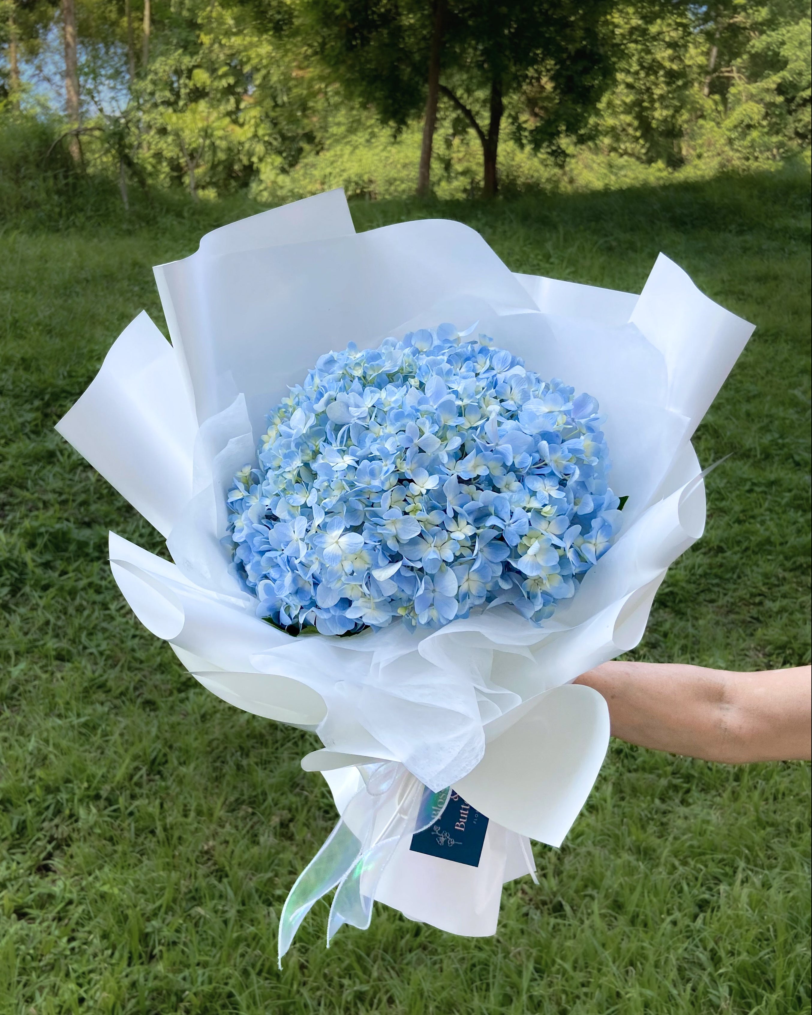 Bouquet of large blue hydrangea wrapped in white wrapper
